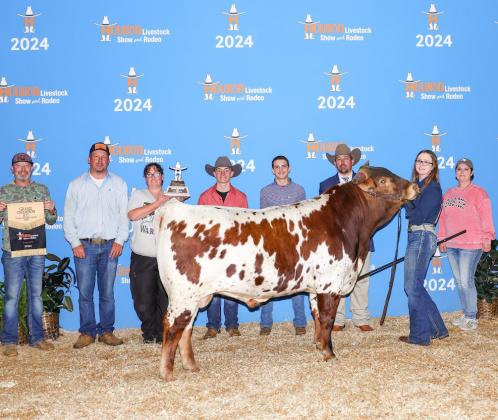 Sarah Danley, Grand Champion Youth Bull, Houston Livestock Show