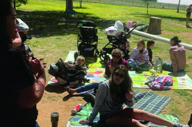 At the Gaines Country Park, mothers from the Cuddles and Chaos group convened for a 'play- date' style get-together. While their toddlers interacted with one another, the mothers took to the sidelines, sitting together and engaging in lively conversation. (Photo provided)